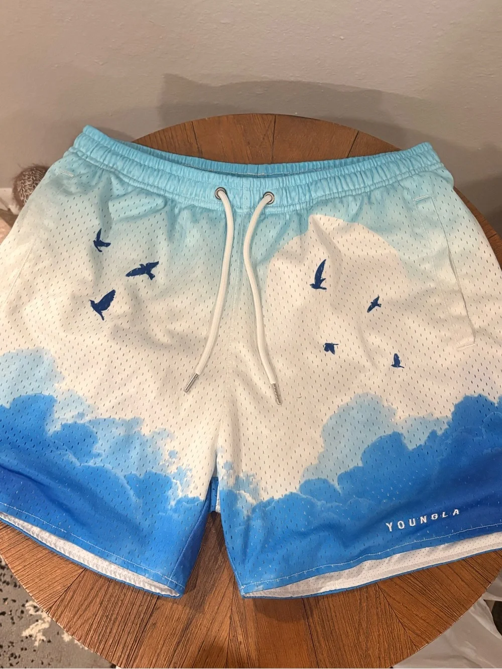 YoungLA Men's Sky-to-Cobalt Gradient Swim Trunks with Bird Motif